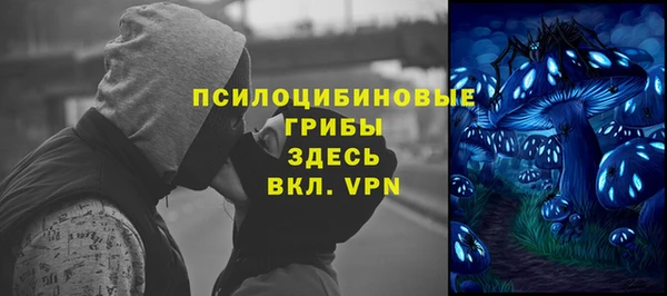 стаф Пестово