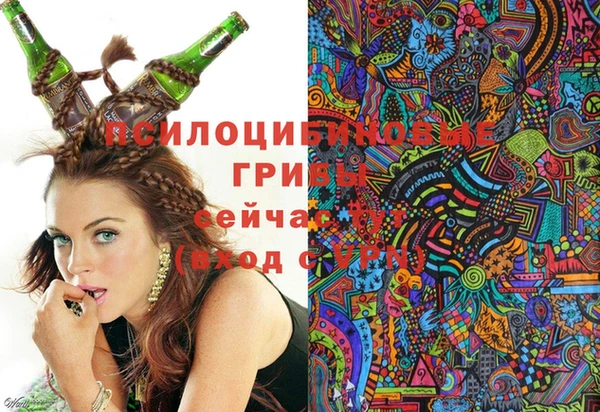 стаф Пестово
