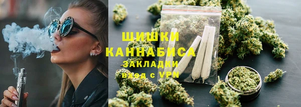 стаф Пестово