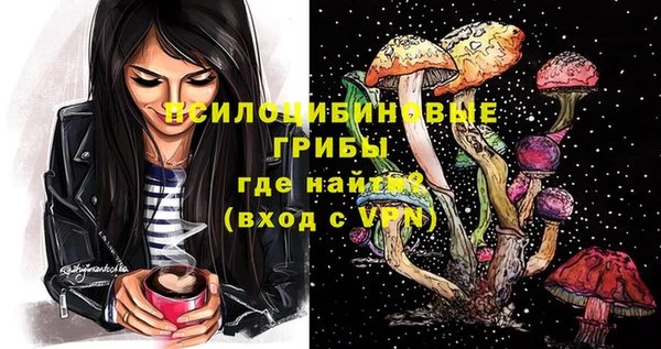 скорость Пересвет