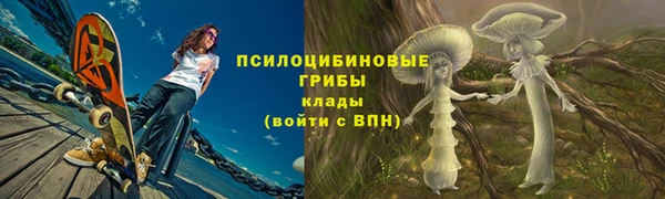 стаф Пестово