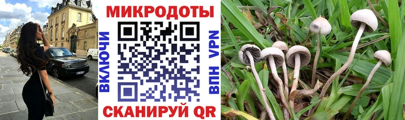 Галлюциногенные грибы мицелий  Купить  Черкесск